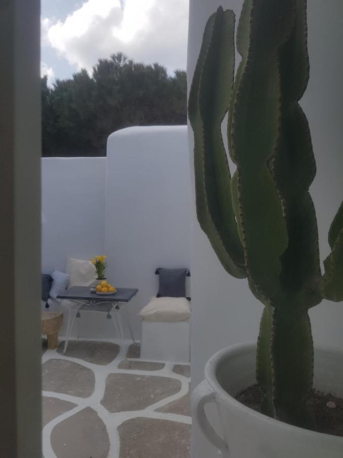 הוילה Drafaki Cassaris Mykonos מראה חיצוני תמונה