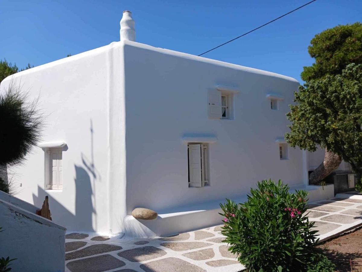 הוילה Drafaki Cassaris Mykonos מראה חיצוני תמונה