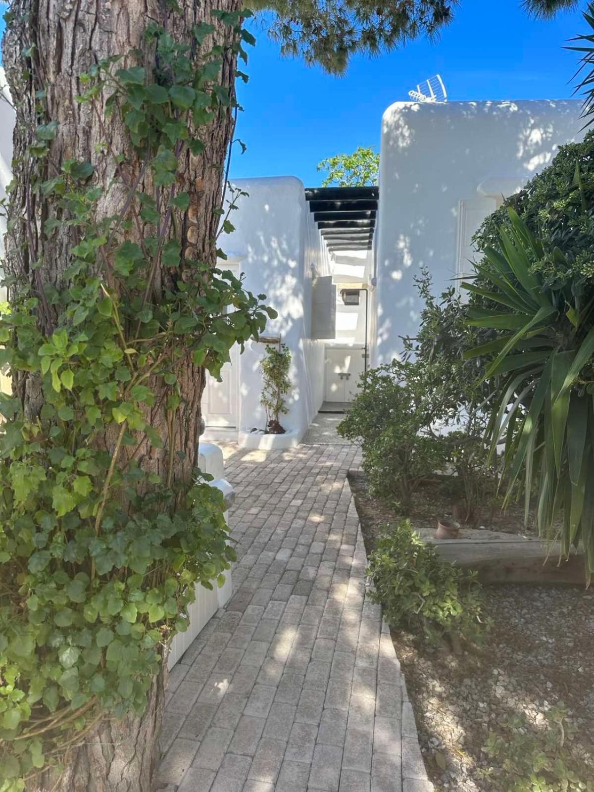 הוילה Drafaki Cassaris Mykonos מראה חיצוני תמונה